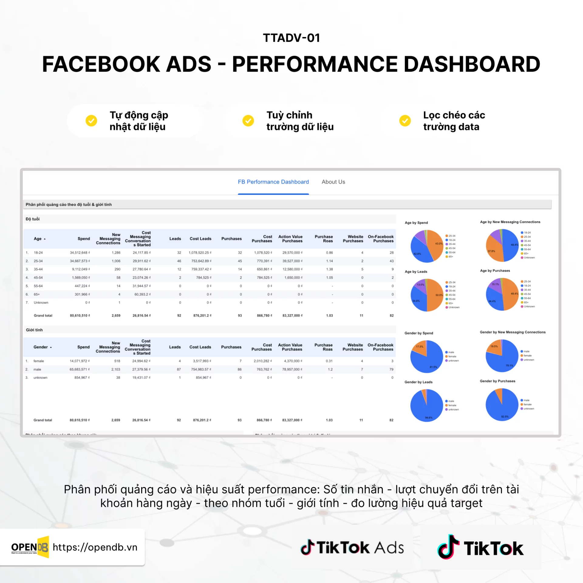 3 Loại Report Facebook Ads Dashboard Phổ Biến Nhất Được Xây Dựng Trên Looker Studio 2 OPEN DB 3 Loai - 3 Loại Report Facebook Ads Dashboard Phổ Biến Nhất Được Xây Dựng Trên Looker Studio